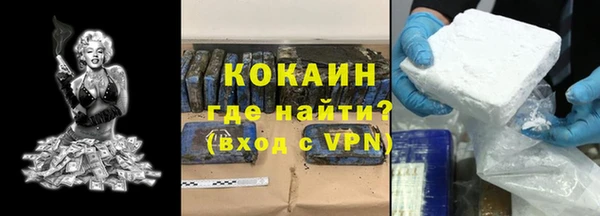 хмурый Аркадак