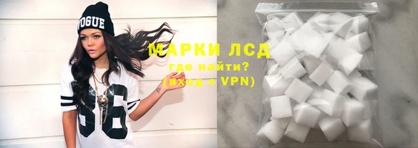 хмурый Аркадак