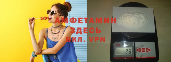хмурый Аркадак