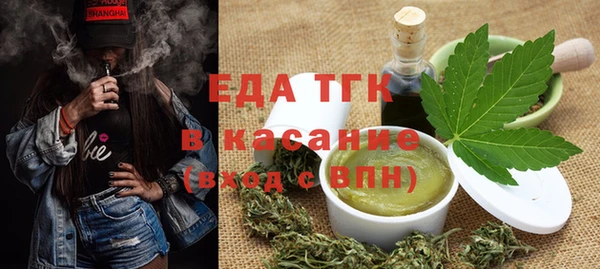 хмурый Аркадак