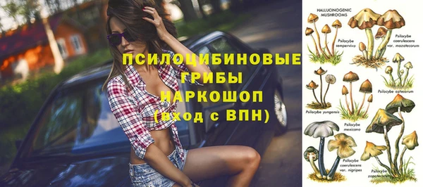 соль курить ск Арсеньев