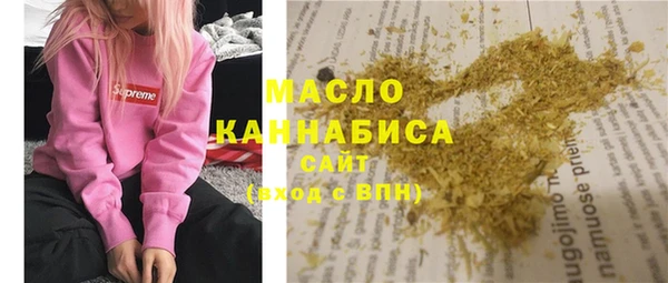 хмурый Аркадак