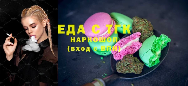 хмурый Аркадак